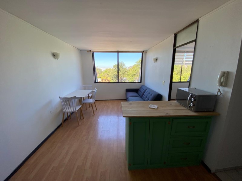 SE ARRIENDA DEPTO. AMOBLADO, PLAZA SAN ENRIQUE (C�D 419)