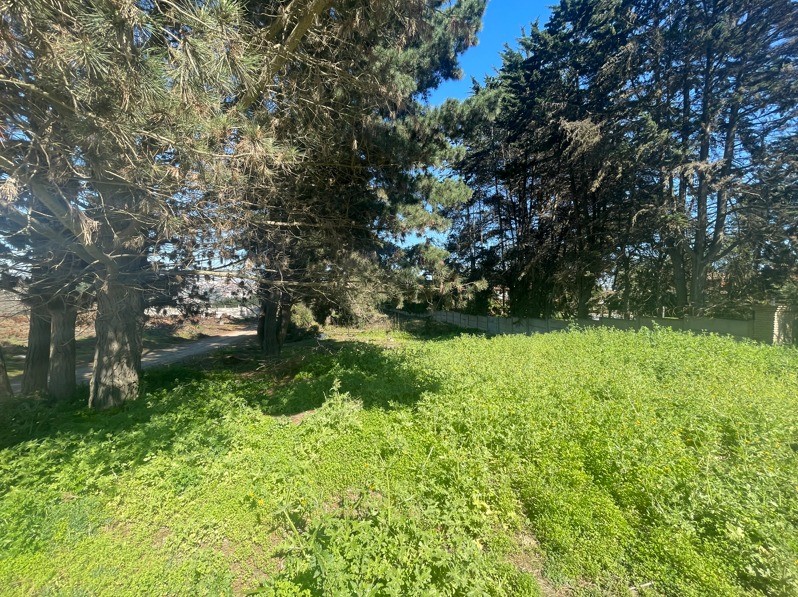 SE VENDE SITIO ERIAZO, REACA (CD. 537)...                    