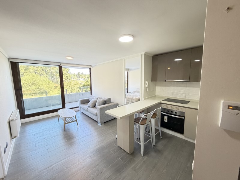 SE ARRIENDA DEPARTAMENTO, LOMA DE MONTEMAR (C�D. 603)